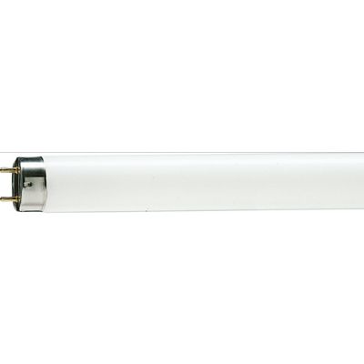 TL LAMP TLD 36W/640 T8 G13